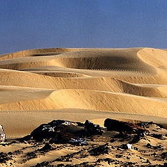 фото "Dunes 2"