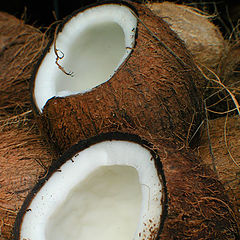 фото "Coconuts"