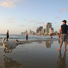 photo "One second in Tel aviv`s life"