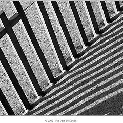 фото "fences"