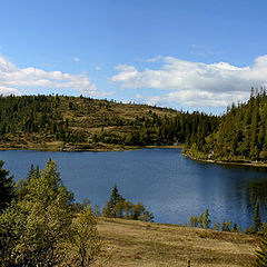 photo "Forest lake"