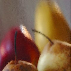 photo "Pears"