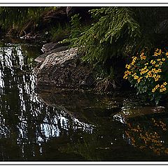 фото "Реализм и абстракция"