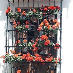 photo "spanish window"