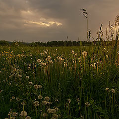 photo "The last vernal evening."