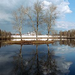 photo "Three Trees / Tihvin"