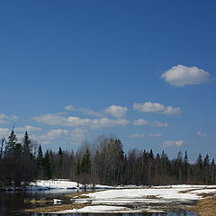 photo "Inflows of Onega"