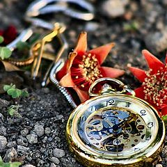 фото "the abandoned old clock"