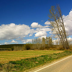 фото "Caminos"