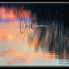 photo "Evening paints of water"