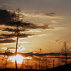 photo "sunset"