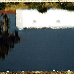 photo "Water mirror"