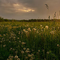 photo "The last vernal evening.(Version without the sun i"