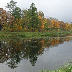 photo "Gatchina. Lake in park"