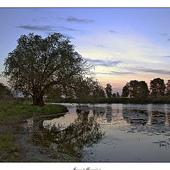 photo "June Morning"