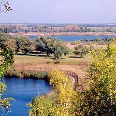 photo "Landscape near Omsk"