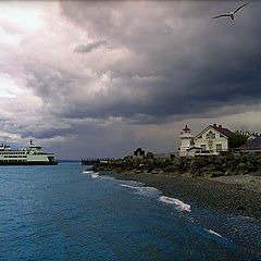 photo "Arriving With Storm"