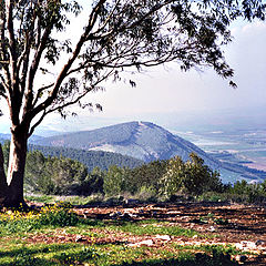 photo "Green hills"