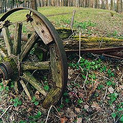 photo "Old cart"