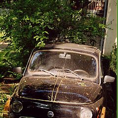 фото "Из жизни старого маленького авто"