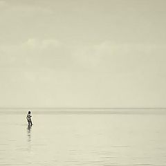 photo "The lonely swimmer."