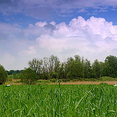 photo "the third superfluous..."