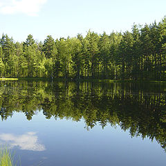 фото "Зеркало"