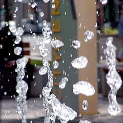 photo "Drops"