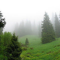 фото "Туман в горах #2"