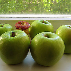 photo "About apples"