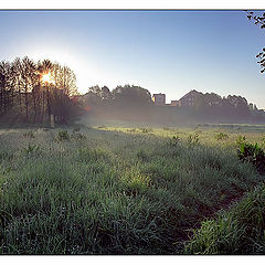 photo "Morning road"