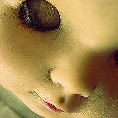 photo "Beau"