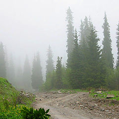 photo "Fog in mountains #3"