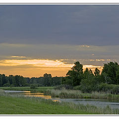 photo "The Siberia. June. The Morning."