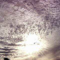 photo "Cielo"