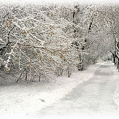photo "Winter-winter, around winter..."