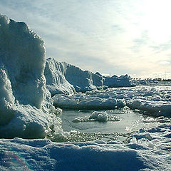 photo "iceberg"