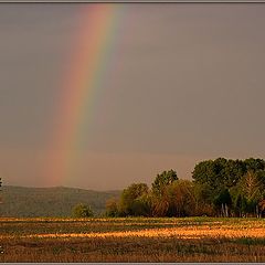 photo "Rainbow"