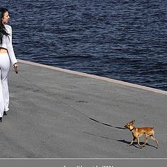 photo "Lady with doggie"