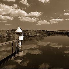 photo "Aquatic sentry box"