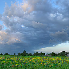 photo "Blue and yellow..."