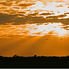 photo "Towards the sunset."