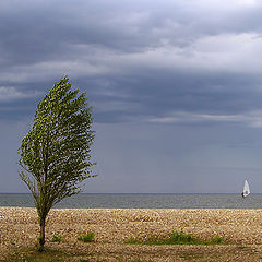 photo "A lone white sail shows for an instant ..."