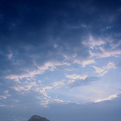 фото "sleepy fields"