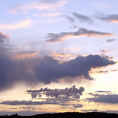 photo "Sky traveller"