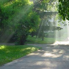 фото "La Luz"