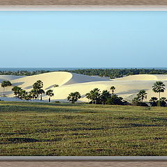 фото "Parnaiba, Brazil"