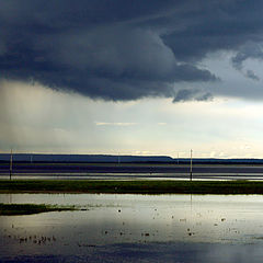 photo "Clouds тёмнокрылые the horsy"