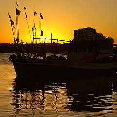 фото "Golden Sunset"