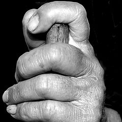 photo "AN OLD HAND"